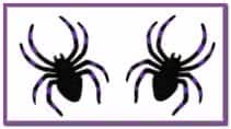 Два фиолетово черных паука