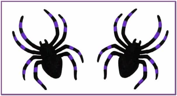 Два фиолетово черных паука