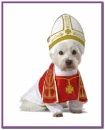 Костюм Папы Римского для собаки