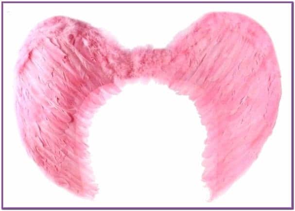 Крылья ангела розовые 60 см