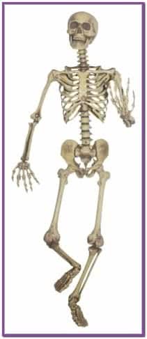 Подвесной скелет 160 см
