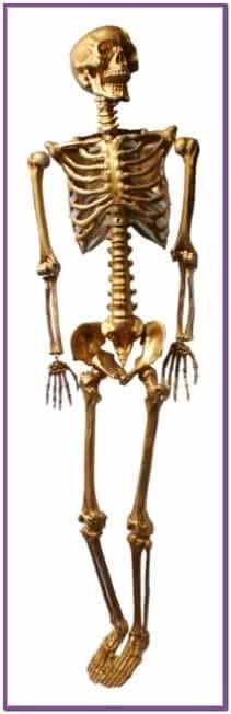 Подвесной Золотой скелет 160 см